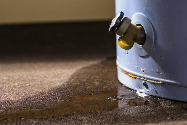 Best Water damage contractors near me  in Mammoth Spring, AR