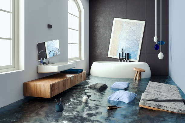 Best Water damage contractors near me  in Mammoth Spring, AR