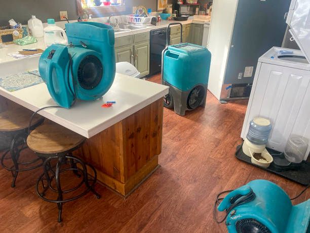 Best 24/7 water damage repair  in Mammoth Spring, AR