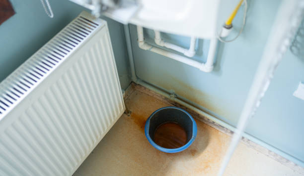 Best Sewage cleanup and water damage restoration  in Mammoth Spring, AR